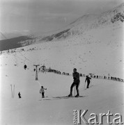 1966, Zakopane, Polska.
Jerzy Woyna-Orlewicz, narciarz i uczestnik Igrzysk Olimpijskich w Innsbrucku w 1964 roku podczas treningu.
Fot. Irena Jarosińska, zbiory Ośrodka KARTA