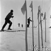 1966, Zakopane, Polska.
Jerzy Woyna-Orlewicz, narciarz i uczestnik Igrzysk Olimpijskich w Innsbrucku w 1964 roku podczas treningu.
Fot. Irena Jarosińska, zbiory Ośrodka KARTA