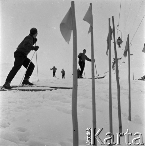 1966, Zakopane, Polska.
Jerzy Woyna-Orlewicz, narciarz i uczestnik Igrzysk Olimpijskich w Innsbrucku w 1964 roku podczas treningu.
Fot. Irena Jarosińska, zbiory Ośrodka KARTA
