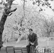 1963-1966, prawdopodobnie Gdańsk, Polska.
Lekkoatleta, sprinter i medalista olimpijski Wiesław Maniak.
Fot. Irena Jarosińska, zbiory Ośrodka KARTA