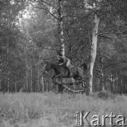 Lata 60., okolice Piotrkowa Trybunalskiego, Polska.
Uczestnik obozu jeździeckiego skacze na koniu przez przeszkodę.
Fot. Irena Jarosińska, zbiory Ośrodka KARTA