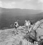 4.-5.06.1964, Tatry, Polska.
Angielski alpinista i kierownik zdobywczej wyprawy na Mount Everest w 1953 r. sir John Hunt (2. z lewej) z grupą polskich taterników podczas wspinaczki po górach.
Fot. Irena Jarosińska, zbiory Ośrodka KARTA
