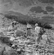 4.-5.06.1964, Tatry, Polska.
Angielski alpinista i kierownik zdobywczej wyprawy na Mount Everest w 1953 r. sir John Hunt (1. z prawej) z grupą polskich taterników podczas wspinaczki po górach.
Fot. Irena Jarosińska, zbiory Ośrodka KARTA
