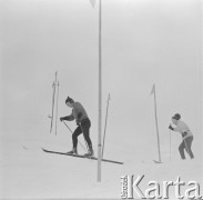 1966, Zakopane, Polska.
Narciarz i uczestnik Zimowej Uniwersjady w Sestriere Andrzej Bachleda-Curuś (z lewej) podczas jazdy na nartach. 
Fot. Irena Jarosińska, zbiory Ośrodka KARTA