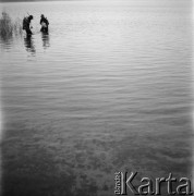 1963, Olsztyn, Polska.
Marek Zakrzewski i Michał Nowiński - płetwonurkowie i studenci Wydziału Rybackiego Wyższej Szkoły Rolniczej wykonują badania wody w Jeziorze Kortowskim.
Fot. Irena Jarosińska, zbiory Ośrodka KARTA