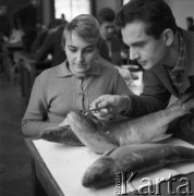 1963, Olsztyn, Polska.
Wydział Rybacki Wyższej Szkoły Rolniczej. Studenci badają ryby na zajęciach. 
Fot. Irena Jarosińska, zbiory Ośrodka KARTA