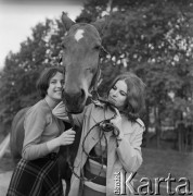 1963, Olsztyn, Polska.
Studentki Wydziału Zootechnicznego Wyższej Szkoły Rolniczej głaszczą konia. 
Fot. Irena Jarosińska, zbiory Ośrodka KARTA