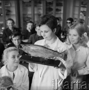 1963, Olsztyn, Polska.
Studenci Wydziału Rybackiego Wyższej Szkoły Rolniczej podczas zajęć na uczelni.
Fot. Irena Jarosińska, zbiory Ośrodka KARTA