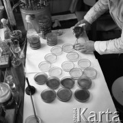 1963, Olsztyn, Polska.
Studenci Wyższej Szkoły Rolniczej podczas zajęć w laboratorium.
Fot. Irena Jarosińska, zbiory Ośrodka KARTA