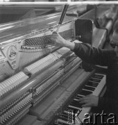 Lata 60., Kalisz, Polska.
Pracownik Fabryki Fortepianów i Pianin „Calisia” podczas strojenia nowego pianina.
Fot. Irena Jarosińska, zbiory Ośrodka KARTA