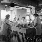 1970, Wałbrzych, woj. wrocławskie, Polska.
Pracownice Zakładu Porcelany Stołowej 