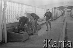 10.02.1961, Śląsk, Polska.
Rybnicki Okręg Węglowy. Górnicy myją kalosze.
Fot. Irena Jarosińska, zbiory Ośrodka KARTA