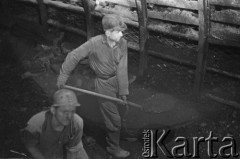 10.02.1961, Śląsk, Polska.
Rybnicki Okręg Węglowy. Górnicy podczas pracy przy wydobyciu węgla.
Fot. Irena Jarosińska, zbiory Ośrodka KARTA