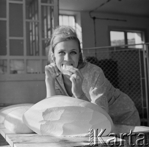 Lata 70., Jaworki k. Szczawnicy, Polska.
Bacówka. Kobieta próbuje bundza, sera z mleka owczego.
Fot. Irena Jarosińska, zbiory Ośrodka KARTA