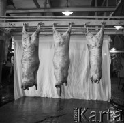 Lata 60., Polska.
Tusze baranie na hakach.
Fot. Irena Jarosińska, zbiory Ośrodka KARTA