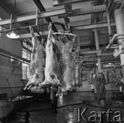 Lata 60., Polska.
Tusze baranie na hakach.
Fot. Irena Jarosińska, zbiory Ośrodka KARTA