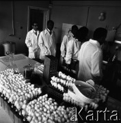 1968, Warszawa, Polska.
Międzynarodowe Studium Profilaktyki Dziecięcej w Instytucie Matki i Dziecka - kurs pediatrii społecznej dla lekarzy z Afryki i Azji.
Fot. Irena Jarosińska, zbiory Fundacji Ośrodka KARTA
