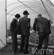 10.09.1974, Skierniewice, Polska.
XIX Międzynarodowy Kongres Ogrodniczy w Instytucie Sadownictwa, n/z uczestnicy zwiedzają Instytut Sadownictwa.
Fot. Irena Jarosińska, zbiory Ośrodka KARTA