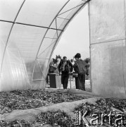10.09.1974, Skierniewice, Polska.
XIX Międzynarodowy Kongres Ogrodniczy w Instytucie Sadownictwa, n/z uczestnicy zwiedzają Instytut Sadownictwa.
Fot. Irena Jarosińska, zbiory Ośrodka KARTA