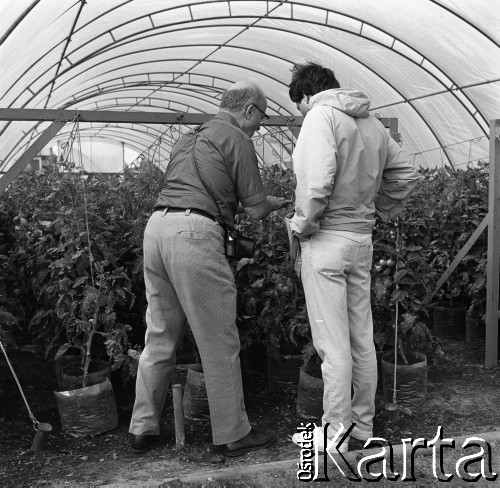 10.09.1974, Skierniewice, Polska.
XIX Międzynarodowy Kongres Ogrodniczy w Instytucie Sadownictwa, n/z uczestnicy zwiedzają Instytut Sadownictwa.
Fot. Irena Jarosińska, zbiory Ośrodka KARTA