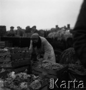 Lata 50., Warszawa, Polska.
Bazar Zieleniak.
Fot. Irena Jarosińska, zbiory Fundacji Ośrodka KARTA