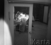 Lata 60., prawdopodobnie Warszawa, Polska.
Fotografie wykonane najprawdopodobniej w Instytucie Biologii Doświadczalnej im. M. Nenckiego PAN, utworzonym w 1918, przy ulicy Ludwika Pasteura 3.Sala zabiegowa. Lekarze weterynarii podczas przeprowadzania operacji.
Fot. Irena Jarosińska, zbiory Ośrodka KARTA