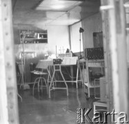 Lata 60., prawdopodobnie Warszawa, Polska.
Fotografie wykonane najprawdopodobniej w Instytucie Biologii Doświadczalnej im. M. Nenckiego PAN, utworzonym w 1918, przy ulicy Ludwika Pasteura 3. Sala zabiegowa.
Fot. Irena Jarosińska, zbiory Ośrodka KARTA