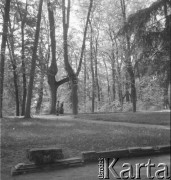 Lata 60., Puławy, Polska.
Zespół pałacowo-parkowy książąt Czartoryskich, ukształtowany na przełomie XVIII i XIX w. wg koncepcji Izabeli ks. Czartoryskiej w stylu krajobrazowym angielskim. Na fotografii elementy architektoniczne z  parku pałacowego.
Fot. Irena Jarosińska, zbiory Ośrodka KARTA