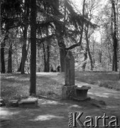 Lata 60., Puławy, Polska.
Zespół pałacowo-parkowy książąt Czartoryskich, ukształtowany na przełomie XVIII i XIX w. wg koncepcji Izabeli ks. Czartoryskiej w stylu krajobrazowym angielskim. Na fotografii fragment parku pałacowego.
Fot. Irena Jarosińska, zbiory Ośrodka KARTA