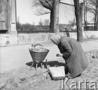 Lata 50., Warszawa, Polska.
Kobieta sprzedająca obwarzanki przed wejściem do ogrodu zoologicznego.
Fot. Irena Jarosińska, zbiory Ośrodka KARTA