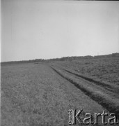 1961, Kurpiowszyzna, Polska.
Pole.
Fot. Irena Jarosińska, zbiory Ośrodka KARTA
