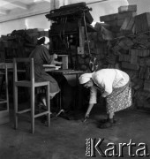 1954, Józefów, Polska.
Mazowieckie Zakłady Przemysłu Drożdżowego, n/z skrzynkarnia.
Fot. Irena Jarosińska, zbiory Fundacji Ośrodka KARTA