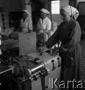 1954, Józefów, Polska.
Mazowieckie Zakłady Przemysłu Drożdżowego, n/z Janina Żukowska przy pakowarce.
Fot. Irena Jarosińska, zbiory Fundacji Ośrodka KARTA