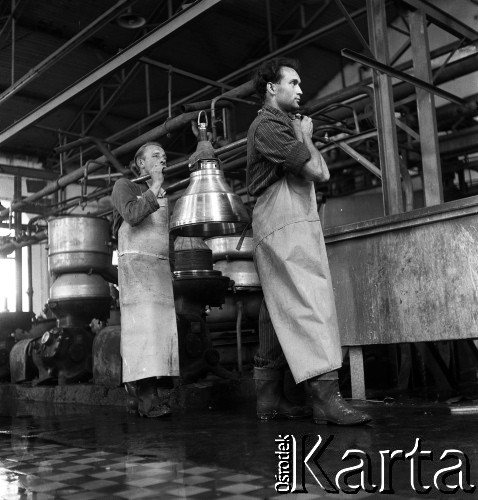 1954, Józefów, Polska.
Mazowieckie Zakłady Przemysłu Drożdżowego, n/z pracownicy niosą wirówki.
Fot. Irena Jarosińska, zbiory Fundacji Ośrodka KARTA