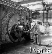 1954, Józefów, Polska.
Mazowieckie Zakłady Przemysłu Drożdżowego, n/z Jan Stępień w kotłowni.
Fot. Irena Jarosińska, zbiory Fundacji Ośrodka KARTA
