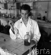 1954, Józefów, Polska.
Mazowieckie Zakłady Przemysłu Drożdżowego, n/z laboratorium zakładowe.
Fot. Irena Jarosińska, zbiory Fundacji Ośrodka KARTA