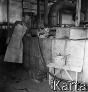 1954, Józefów, Polska.
Mazowieckie Zakłady Przemysłu Drożdżowego, n/z Władysława Wrzesińska przy myciu kadzi na hali produkcyjnej.
Fot. Irena Jarosińska, zbiory Fundacji Ośrodka KARTA