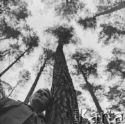 Lata 60., Piaśnica, Polska.
Lasy Piaśnickie - miejsce masowych egzekucji dokonanych przez okupantów niemieckich podczas II wojny światowej, n/z Elżbieta Ellwart, świadek zbrodni.
Fot. Irena Jarosińska, zbiory Ośrodka KARTA