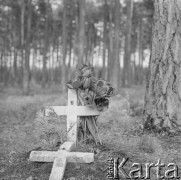 Lata 60., Piaśnica, Polska.
Lasy Piaśnickie - miejsce masowych egzekucji dokonanych przez okupantów niemieckich podczas II wojny światowej.
Fot. Irena Jarosińska, zbiory Ośrodka KARTA