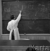 Lata 70., Lublin, Polska.
Uniwersytet im. Marii Curie-Skłodowskiej w Lublinie.
Fot. Irena Jarosińska, zbiory Ośrodka KARTA