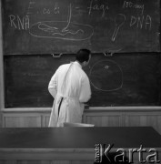 Lata 70., Lublin, Polska.
Uniwersytet im. Marii Curie-Skłodowskiej w Lublinie.
Fot. Irena Jarosińska, zbiory Ośrodka KARTA