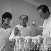 Lata 70., Lublin, Polska.
Uniwersytet im. Marii Curie-Skłodowskiej w Lublinie.
Fot. Irena Jarosińska, zbiory Ośrodka KARTA
