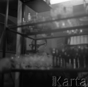 Lata 70., Warszawa, Polska.
Profesor socjologii Alvin Lee Bertrand.
Fot. Irena Jarosińska, zbiory Ośrodka KARTA