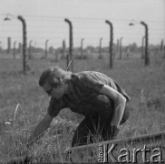 1969, Oświęcim, Polska.
Akcja 