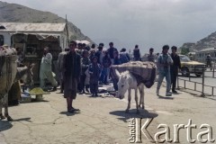 1992, Kabul, prowincja Kabul, Afganistan.
Targ Mandawi (Mandai) nieopodal bulwarów nad rzeką Kabul. Na zdjęciu widoczne osły dźwigające towary przeznaczone na sprzedaż.
Fot. Irena Jarosińska, zbiory Ośrodka KARTA