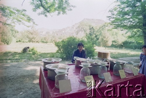 1992, Kabul, prowincja Kabul, Afganistan.
Prawdopodobnie Ogrody Babura (Bagh-e Babur) - historyczny park w Kabulu, obecnie tereny rekreacyjne i popularne miejsce wypoczynku kabulczyków. Ogrody założone zostały w 1528 roku przez Baubra, wielkiego przywódcę i twórcę imperium Państwa Wielkich Mogołów.
Fot. Irena Jarosińska, zbiory Ośrodka KARTA