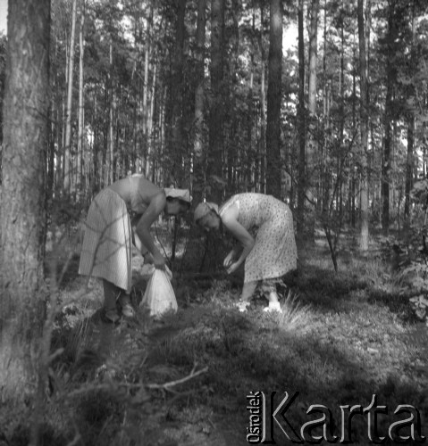 Koniec lat 50., Urle, woj. warszawskie, Polska.
Fotografka Irena Jarosińska (z lewej) z matką Zofią Małek w lesie.
Fot. NN, zbiory Ośrodka KARTA