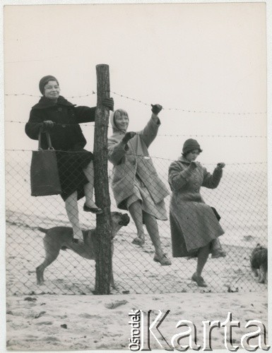 Fot. Irena Jarosińska, zbiory Ośrodka KARTA Lata 50. lub 60., Sopot, Polska.
Kobiety z psami na plaży.
Fot. Irena Jarosińska, zbiory Ośrodka KARTA