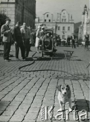 Brak daty, Polska.
Ekipa filmowa na rynku.
Fot. Irena Jarosińska, zbiory Ośrodka KARTA