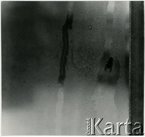 Brak daty, Warszawa-Wola, Polska.
Okno mieszkania Ireny Jarosińskiej przy ul. Smoczej 20a.
Fot. Irena Jarosińska, zbiory Ośrodka KARTA